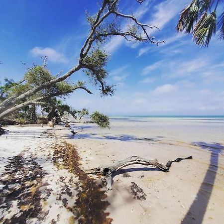 Tortuga Tillys Cape San Blas Екстер'єр фото