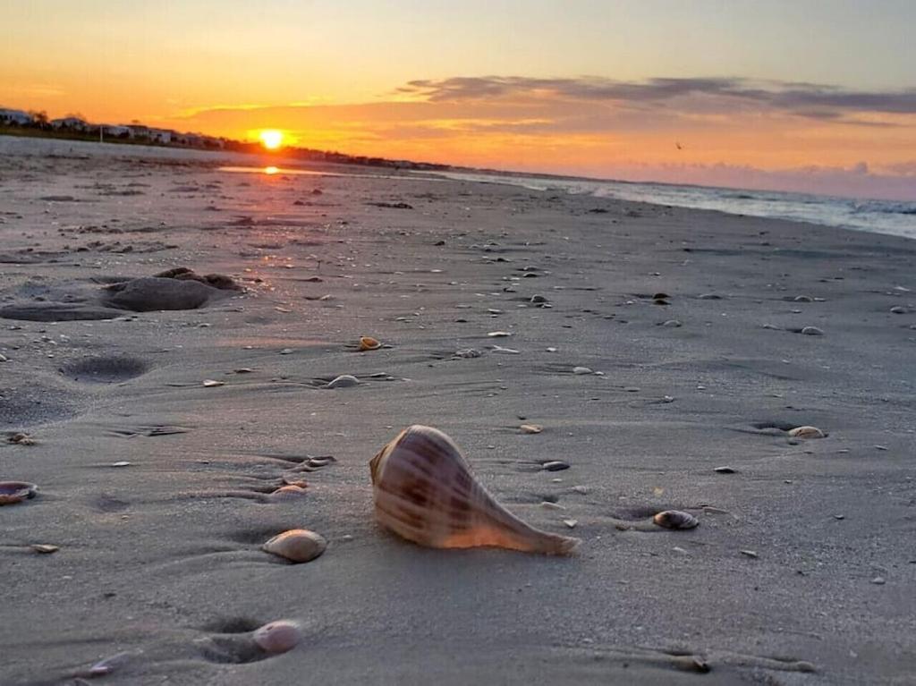 Tortuga Tillys Cape San Blas Екстер'єр фото